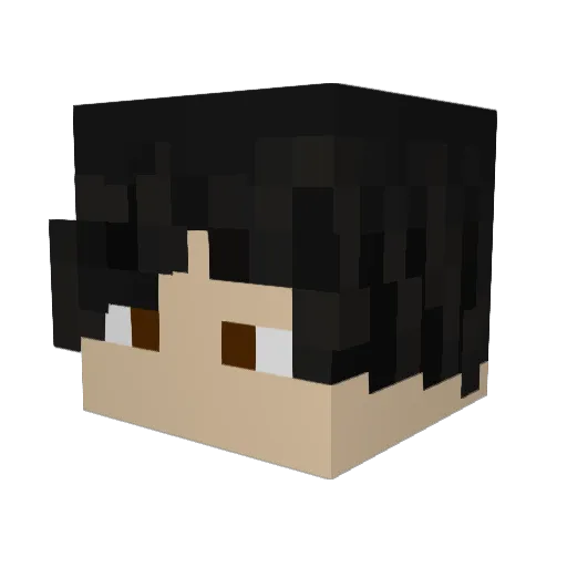 Lurtze6707 Minecraft avatar head, 3D render
