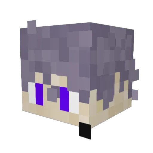 Lusadin1 Minecraft avatar head, 3D render
