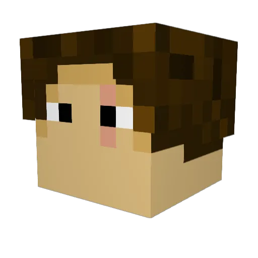 LushToaster3187 Minecraft avatar head, 3D render