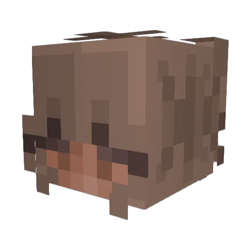 Lush_Luv Minecraft avatar head, 3D render