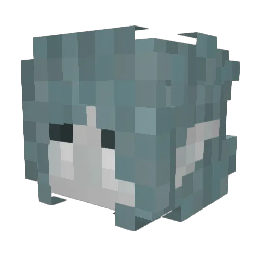 LuskoBruxo Minecraft avatar head, 3D render