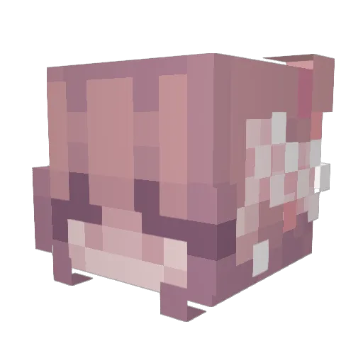 Lustrielle Minecraft avatar head, 3D render