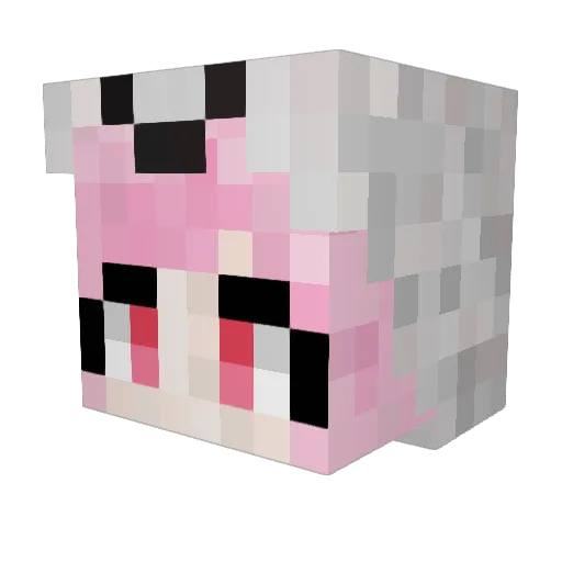 Luswo Minecraft avatar head, 3D render