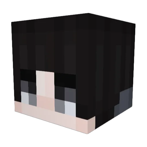 Lusy3000 Minecraft avatar head, 3D render