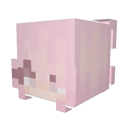 Lutanea Minecraft avatar head, 3D render