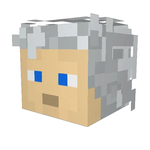 Lute14 Minecraft avatar head, 3D render