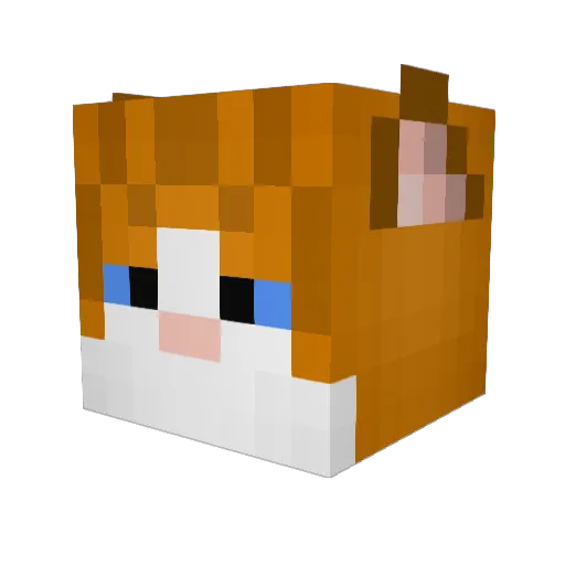 Lutrari Minecraft avatar head, 3D render