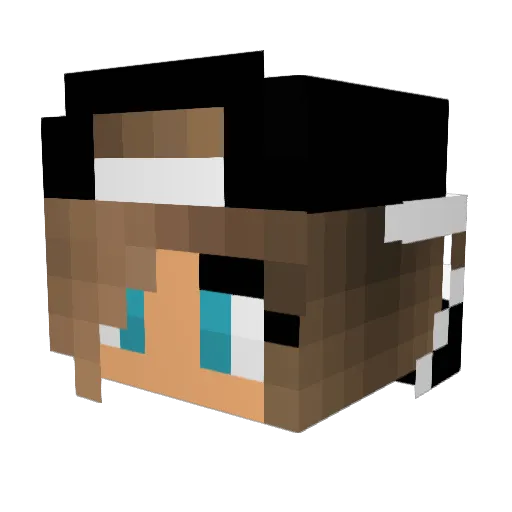 Lutschitoria204 Minecraft avatar head, 3D render