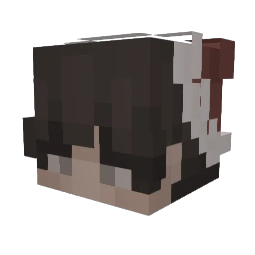 Luubkin Minecraft avatar head, 3D render