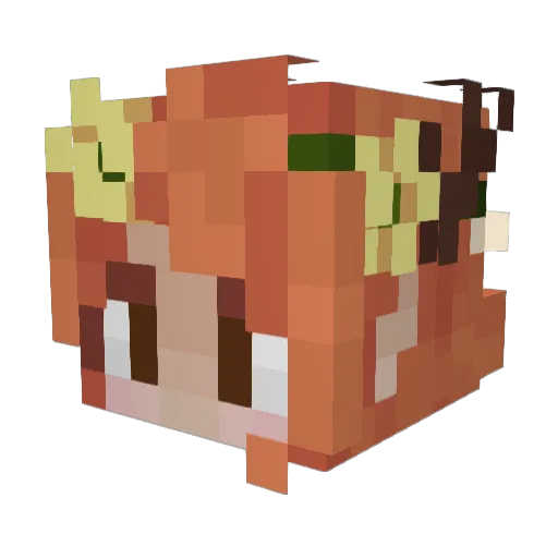 Luunaaby Minecraft avatar head, 3D render