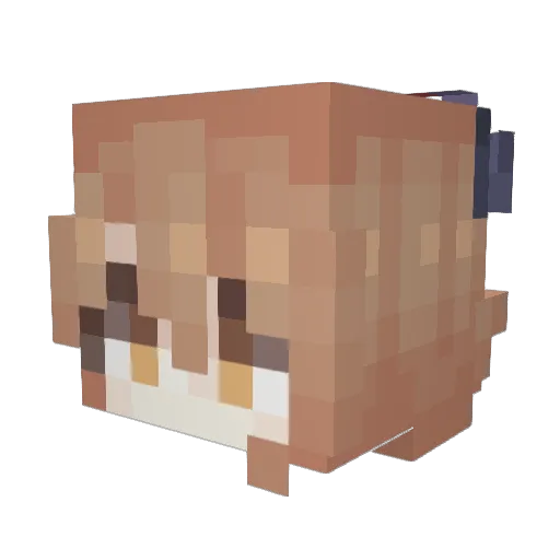 Luunano Minecraft avatar head, 3D render