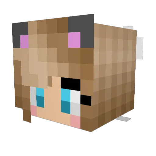 Luunnniii Minecraft avatar head, 3D render