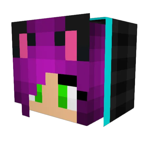 Luv2010 Minecraft avatar head, 3D render