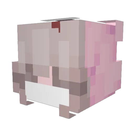 LuvBugz Minecraft avatar head, 3D render