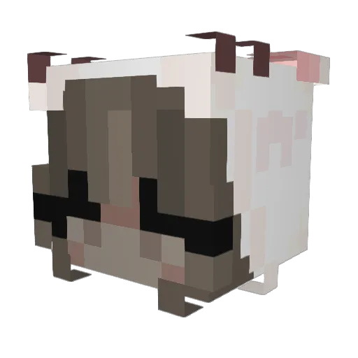 Luvvrgirll Minecraft avatar head, 3D render