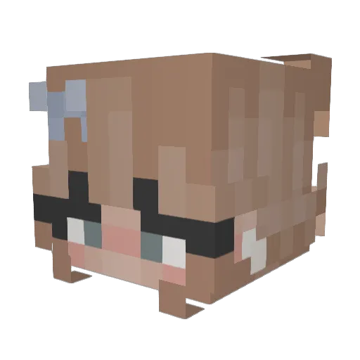 Luvwolfy Minecraft avatar head, 3D render