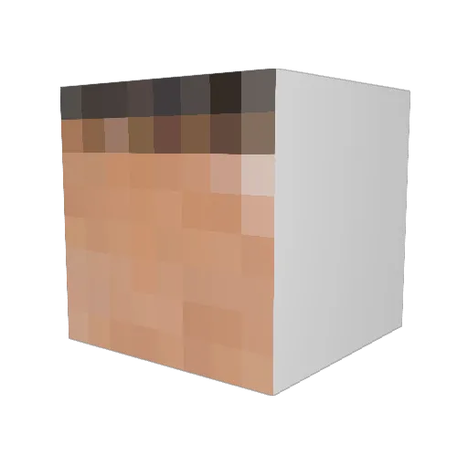 LuxFlix Minecraft avatar head, 3D render