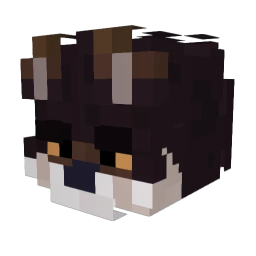 LuxaelNI Minecraft avatar head, 3D render