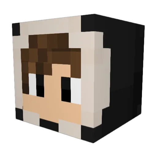 Luxay666 Minecraft avatar head, 3D render
