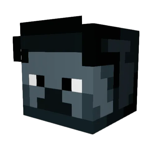 Luxcity1 Minecraft avatar head, 3D render
