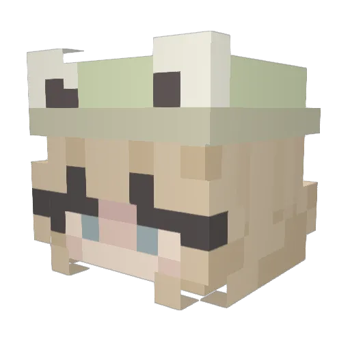 Luxcxa Minecraft avatar head, 3D render
