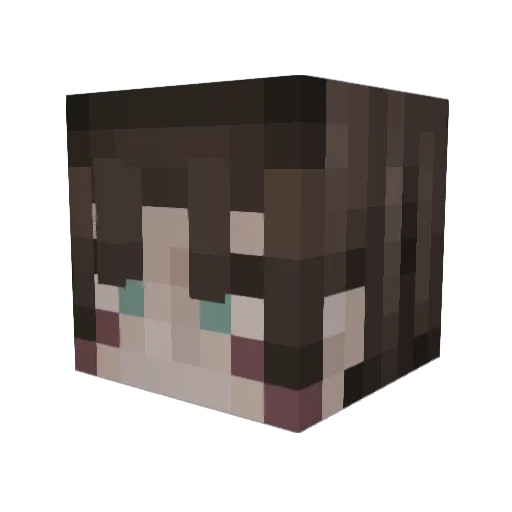 Luxrain101 Minecraft avatar head, 3D render
