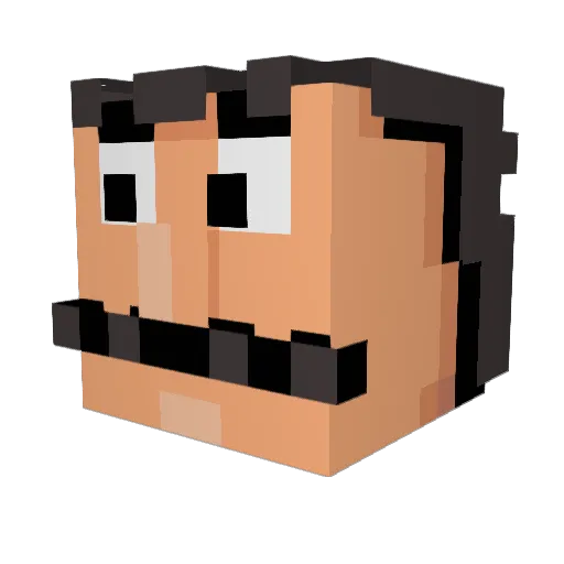 LuxuryMeats Minecraft avatar head, 3D render
