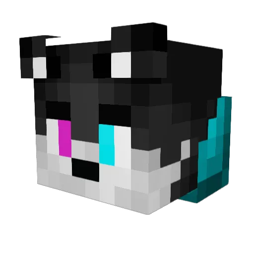 Luxx2231 Minecraft avatar head, 3D render