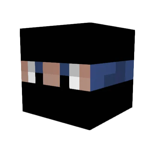 Luz0ry Minecraft avatar head, 3D render