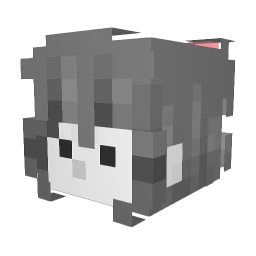 LuzEndessa Minecraft avatar head, 3D render