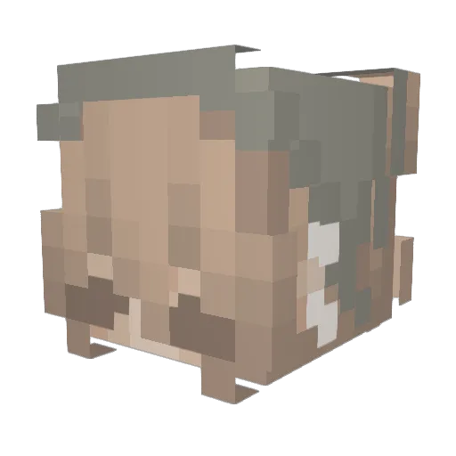 LuzMaria Minecraft avatar head, 3D render