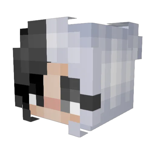 Luzzedd Minecraft avatar head, 3D render