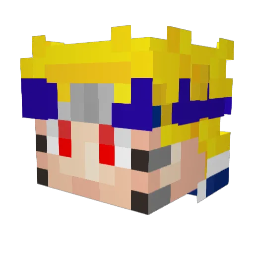 Lv47Warlock Minecraft avatar head, 3D render