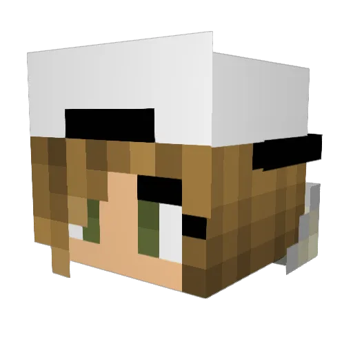 Lvr06 Minecraft avatar head, 3D render