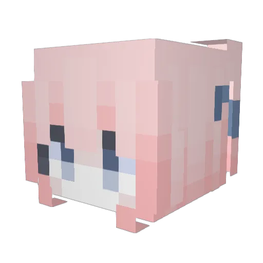 Lvrui666 Minecraft avatar head, 3D render