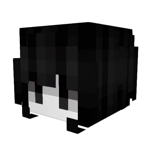 Lwwsr Minecraft avatar head, 3D render