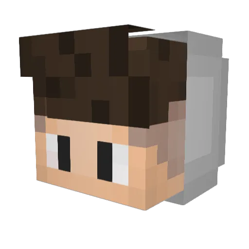 Lx_53_ Minecraft avatar head, 3D render