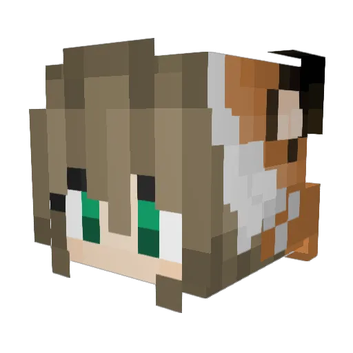 LxsaFox Minecraft avatar head, 3D render