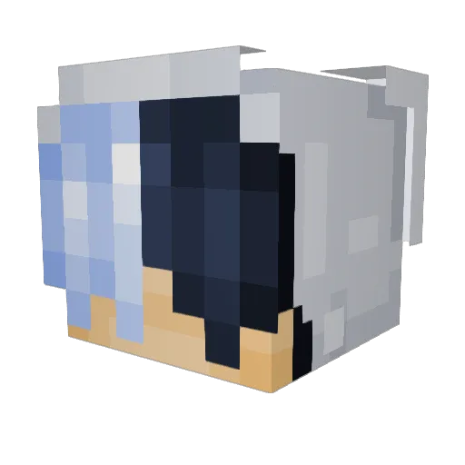 Lxser_Eli Minecraft avatar head, 3D render