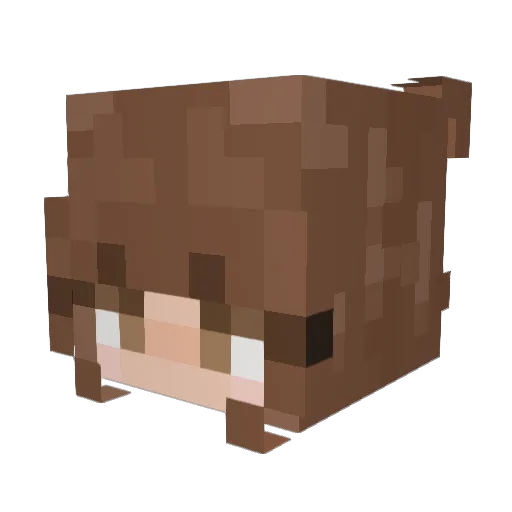 LxvenderFlower Minecraft avatar head, 3D render