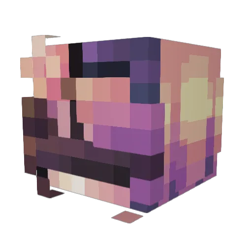 Lxxa_ Minecraft avatar head, 3D render