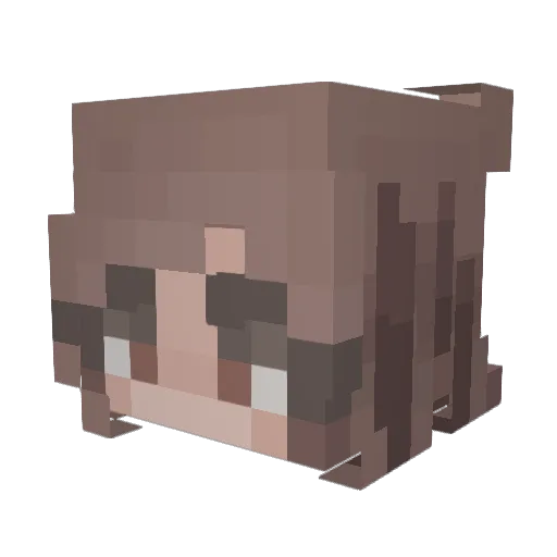 Lxxrxn02 Minecraft avatar head, 3D render