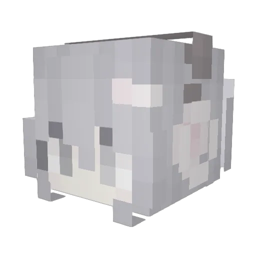 Ly_ababababa Minecraft avatar head, 3D render