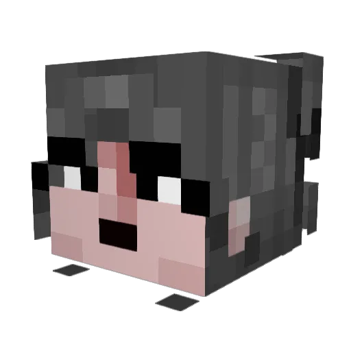 Lya_Strife Minecraft avatar head, 3D render