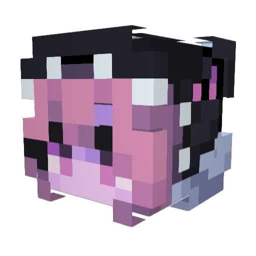 Lyalechkaa Minecraft avatar head, 3D render