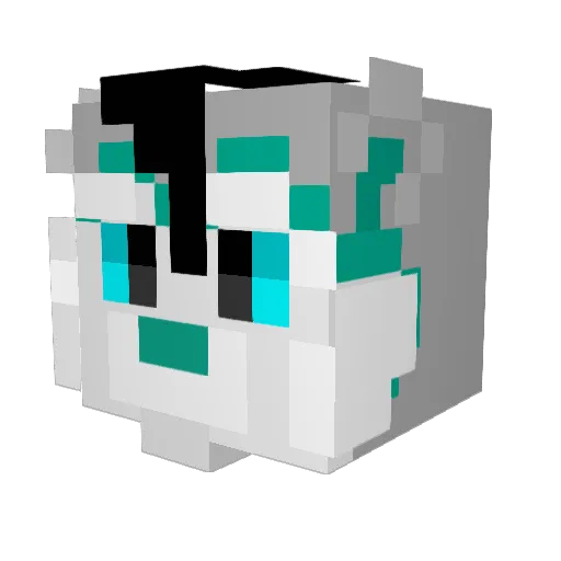 LyamWasTaken Minecraft avatar head, 3D render