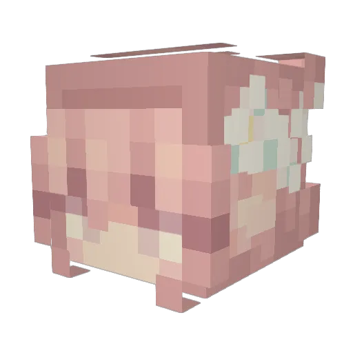 Lyasha Minecraft avatar head, 3D render