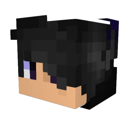 LycanNetworkTM Minecraft avatar head, 3D render