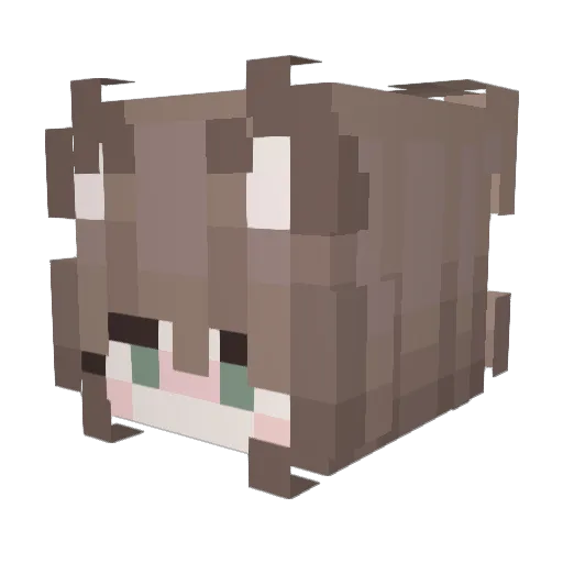 Lycaris Minecraft avatar head, 3D render