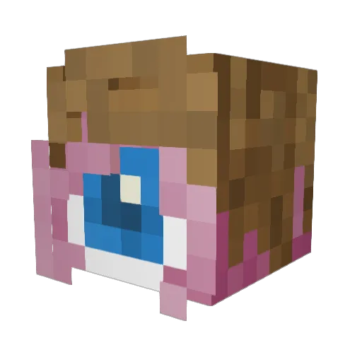 Lycaven Minecraft avatar head, 3D render